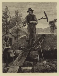 Köhler in den Alpen