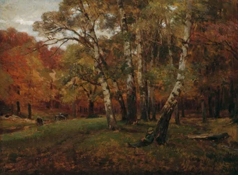 Landschaft mit Birken