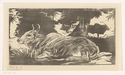 Liegender Zebu