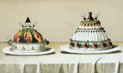 Entwurf für die Präsentation von Huhn gefüllt mit Foie Gras und Fasanenbrüsten, gekocht nach Berthold-Art, Illustration aus einem ungarischen Kochbuch über die französische Küche, ca. 1880