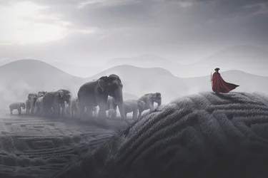 Roter Umhang Elefantenreise