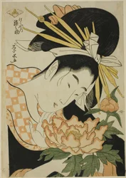 Die Kurtisane Somenosuke von Matsubaya
