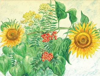 Sonnenblumen Herbstbeeren