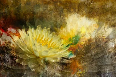 Goldene Lotusblüte