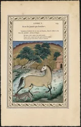 Das Pferd und der Wolf, 1837-1839