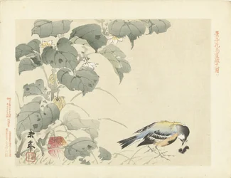 Vogel bei Raupe (Serientitel: Blumen- und Vogelskizzen von Keinen)