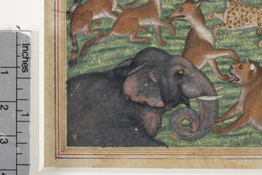 (Detail) Der Schakal, der sich selbst zum König erklärte, ca. 1560-65