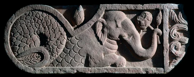 Elefant mit Fischschwanz
