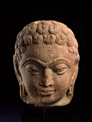 Kopf eines Jain-Tirthankara, Mathura-Region, Kushan-Periode, 3.-4. Jahrhundert n. Chr.