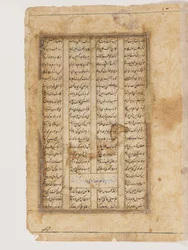 Majnun auf einem Kamel