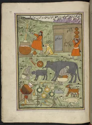 Milchmänner der Gujar-Kaste im Wald, 86 Zeichnungen in einem Band, der Berufe und Tätigkeiten in Kaschmir darstellt, Handwerker bei der Arbeit mit ihren Werkzeugen und Geräten, von einem Kaschmir-Künstler, wahrscheinlich in Srinagar, um 1850-60