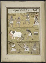 Reis säen; pflügen; Erdklumpen brechen, 86 Zeichnungen in einem Band, der Berufe und Tätigkeiten in Kaschmir darstellt, Handwerker werden bei der Arbeit mit ihren Werkzeugen und Ausrüstungen gezeigt, von einem Kaschmir-Künstler, wahrscheinlich in Srinagar,