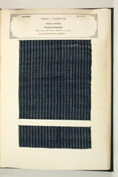 Gestreiftes Gingham, Palamcottah, Madras, Stückwaren, aus der Sammlung der Textilhersteller Indiens, von John Forbes Watson, veröffentlicht 1866