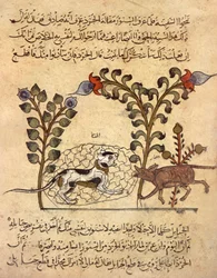 Die Katze und die Ratte, arabische Miniatur aus "Kalila va dimna"