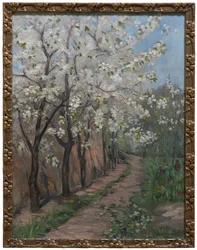 Kirschblüte