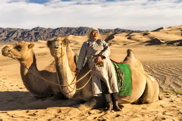 Eine Frau ruht sich mit Kamelen in der Süd-Gobi-Wüste, Mongolei aus, 2015 (Foto)