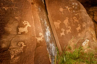 In Nine Mile Canyon, Tafeln von Schafen in der Nähe der Sandhill Crane Petroglyphenstätte, 2005