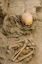 Das weibliche Opfer im Grab mit dem Mumienbündel in Huaca El Brujo, 2005
