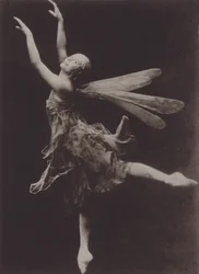 Pavlova in Die Libelle