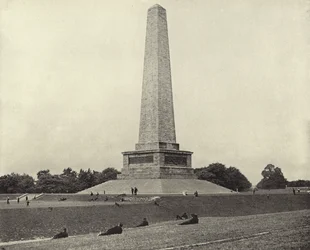 Das Wellington-Denkmal, Phoenix Park