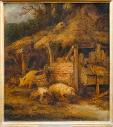 Das Schweinedach