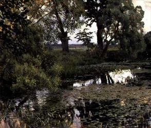 Der überwucherte Teich