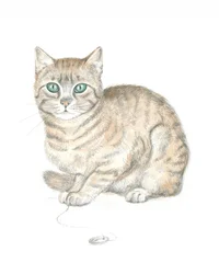 Getigerte Katze und Knopf
