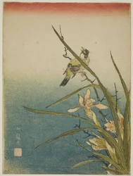 Orchidee und Vogel