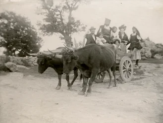 Familie auf einem von Ochsen gezogenen Wagen, Sardinien, Italien, ca. 1910
