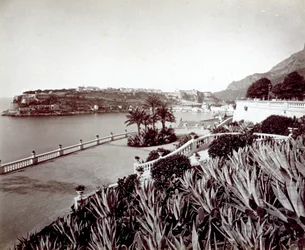 Panorama von Montecarlo. Im Vordergrund dichte Vegetation aus Agaven und Kakteen