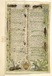 Blätter aus einer Prosabehandlung über die sieben Laster und ein Vers über Ereignisse aus der Geschichte Siziliens zur Zeit Friedrichs II., von Cocharelli, ca. 1330-40