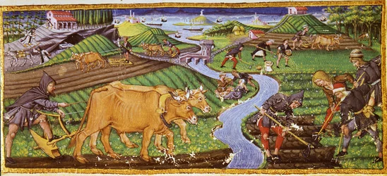 Landwirtschaft zu Beginn des 15. Jahrhunderts. Biblioteca Ricciardiana, Florenz