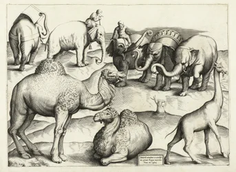 Tiermalereien aus dem antiken Rom, Tafel 3, veröffentlicht von Antonio Lafrere 1528