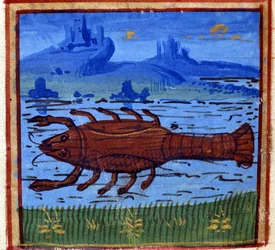 Krebszeichen. Italienisches Horoskop; Mitte des 15. Jahrhunderts.