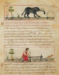 Elefant und traditionelle Elfenbeinarbeit, Illustration aus der Cynegetica von Oppian