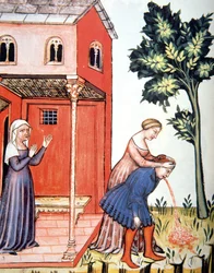 Erbrechen, Illustration aus Tacuinum Sanitatis Codex Vindobonensis