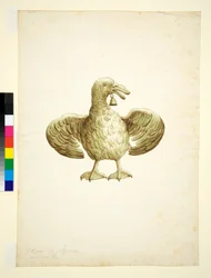 Gans
