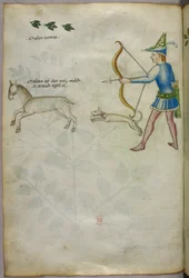Illustration eines Mannes mit einem Bogen, der auf ein Tier schießt, mit einem Hund und Vögeln darüber, um 1440
