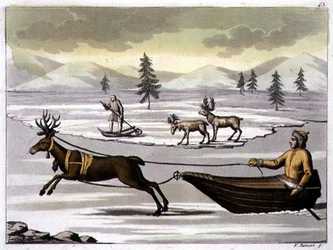 Männliches und weibliches Rentier und ein Lappländer auf seinem Schlitten, gezogen von einem Rentier, Tafel 43 aus 