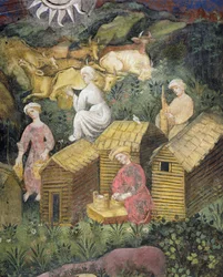 Bergweiden. Kühe melken und Käseherstellung