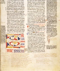 Detail einer pflanzenförmigen Initiale C aus Gratians Decretum