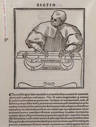 Seite aus Musica theorica von Lodovico Fogliani (1475?-1542) (oder Ludovico Foliani), Musiktheoretiker
