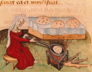 Seite aus dem Tractatus de Herbis von Dioscorides Pedanius