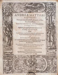 Seite aus Principi omnibus belli von Andrea Matteo Acquaviva