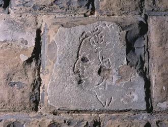 Profil eines Mannes