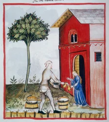 Verkauf von saurer Milch (c.59v), Tacuinum Sanitatis, Codex Vindobonensis Series Nova 2644