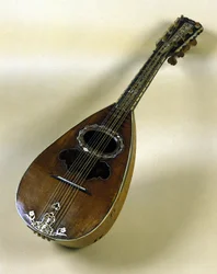 Stillleben mit neapolitanischer Mandoline, erfunden von Giuseppe Filano. Neapel 1784