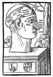Das Gehirn und die menschlichen Fähigkeiten, aus Anatomia Mundini, französische Ausgabe, veröffentlicht 1537