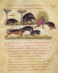 Abhandlung über den Eber: Leben, Paarung, Jagd, Illustration aus der Cynegetica von Oppian