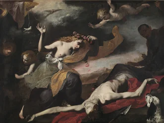 Venus entdeckt den toten Adonis